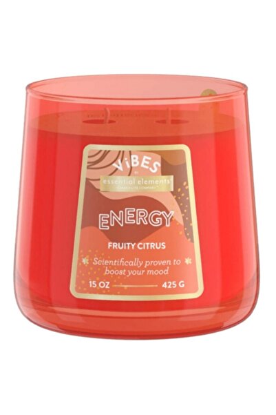 Candle-Lite Essential Elements Fruity Citrus Scented Jar Candle 15oz