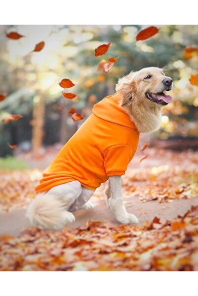 Kemique Orange Kapşonlu Sweatshirt, Orta ve Büyük Irklar İçin