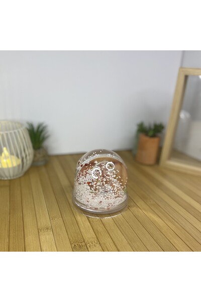 Tasarım 2 Fotograflı  Kar Küresi