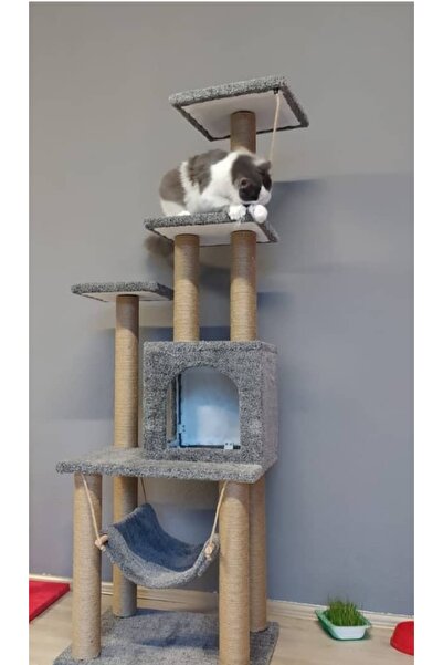 pethomealpi Cat Scratching House and Play Platform