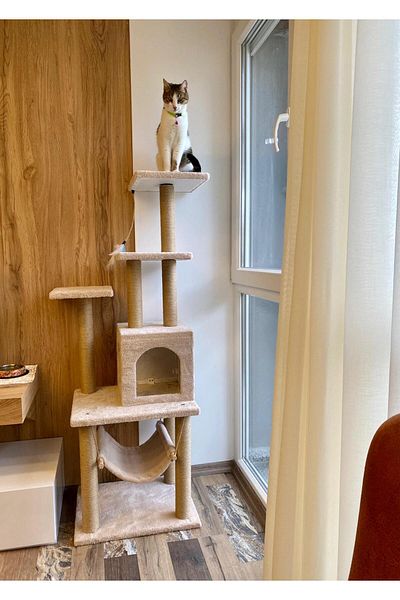 pethomealpi Luxury Cat Scratching and Play Platform - with Hammock and Nest