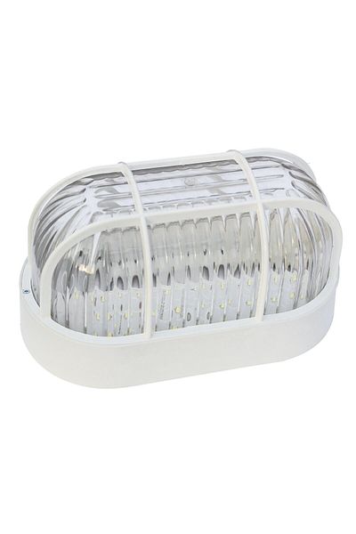 Mutlusan Oval Caged Luminaire