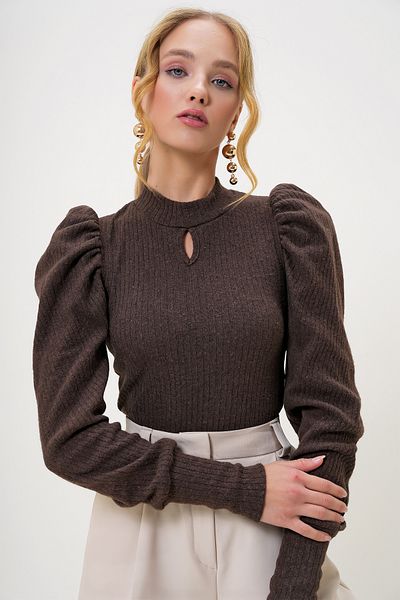 Trend Alaçatı Stili Women's Brown Crew Neck Low-Cut Princess Sleeve Knitwear Blouse Alc-X13069