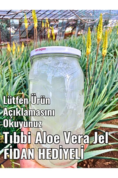 FidanBudur Doğal Aloe Vera Jeli 660 Ml Ilaçsız Üretim