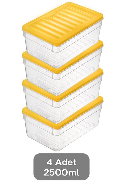 Meleni Home 4-Piece Microwave Freezer Container - Deep Refrigerator Organizer Set, 2500ml Yellow