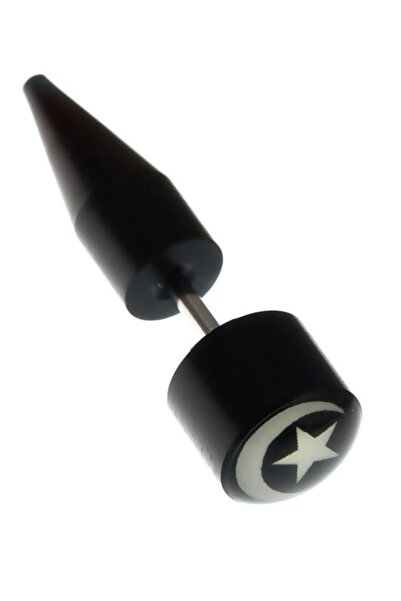 Rouge Moon Star Figure Bioplast Tapers Earrings