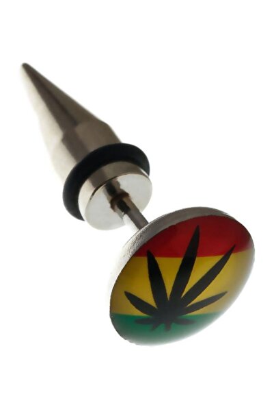 Rouge 316 L Steel Hemp Figure Tapers Earrings