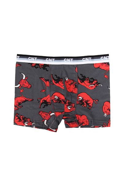 CNT Boy's Boxers 6 Pack Mixed Pattern - Σε Ειδικό Κουτί