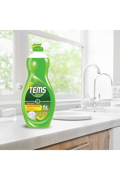 TEMS Dishwashing Detergent 500 ml
