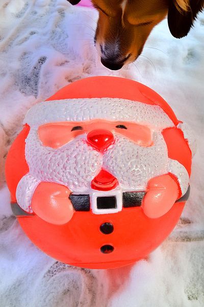 Sole Santa Claus Design Rubber Dog Ball with Characteristic Sound -25 cm Diameter