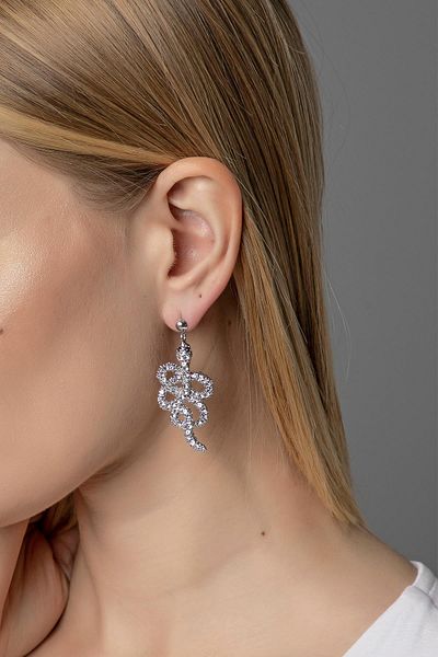 Modex Silver Color Snake Figure Earrings (5cm)