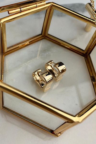 Modex Solid Brass Heart Figured Earrings (2 cm)