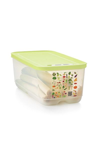 Tupperware Greenhouse Series Low Body Food Storage Container Lime 6.1 Lt