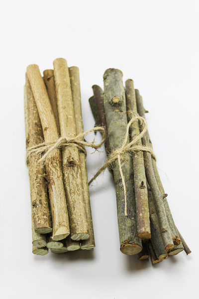 funny bunny "Kemirgenler İçin Doğal Elma ve Fındık Dalı Seti - 10 Adet Fındık...