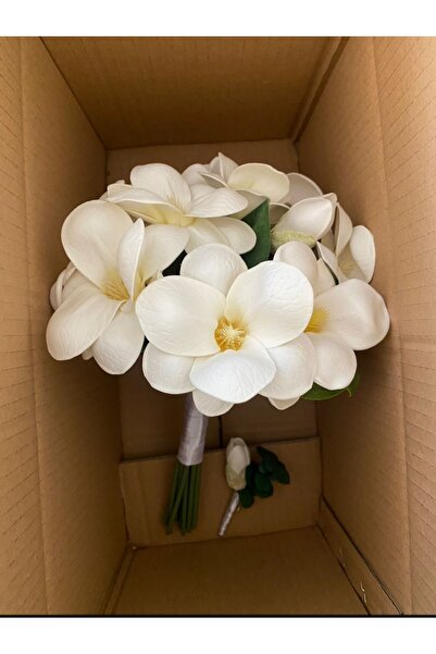 Botanikelbuketleri Manolya gelin çiçeği