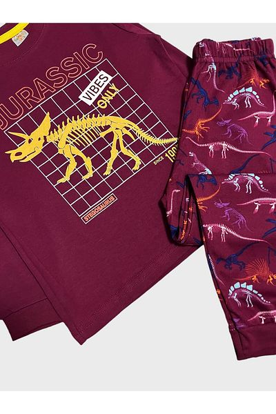 elmas kids Set de pijamale de iarnă pentru băiat, 100% bumbac, cu imprimeu de dinozaur roșu Claret, cu mâneci lungi