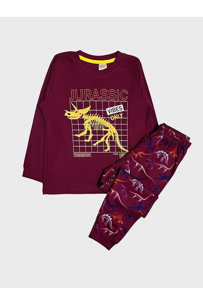 elmas kids Set de pijamale de iarnă pentru băiat, 100% bumbac, cu imprimeu de dinozaur roșu Claret, cu mâneci lungi