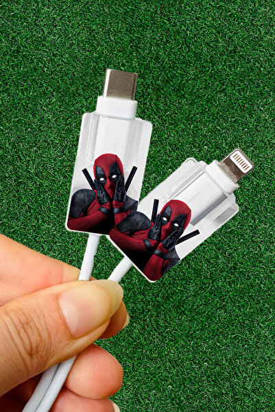 WANNA PROTECT Type-c - Lightning Iphone Uyumlu Yumuşak Desenli Sevimli Siliko...