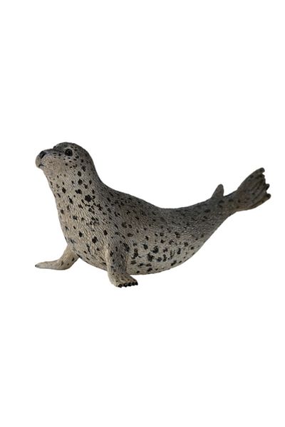 Collecta Φώκια Λιμένα - Ειδώλιο Ζώου