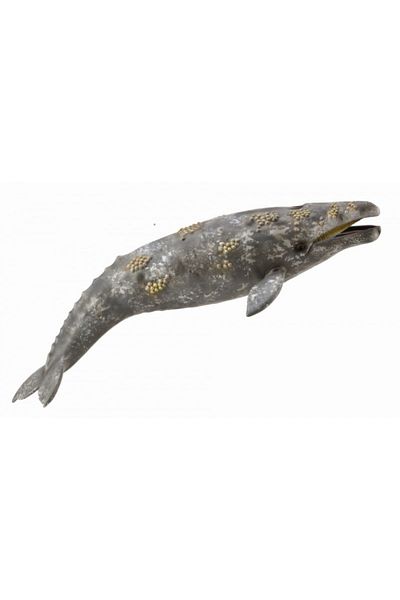 Collecta Γκρίζα Φάλαινα - - Εκπαιδευτικό Παιχνίδι Υψηλής Ποιότητας για Παιδιά