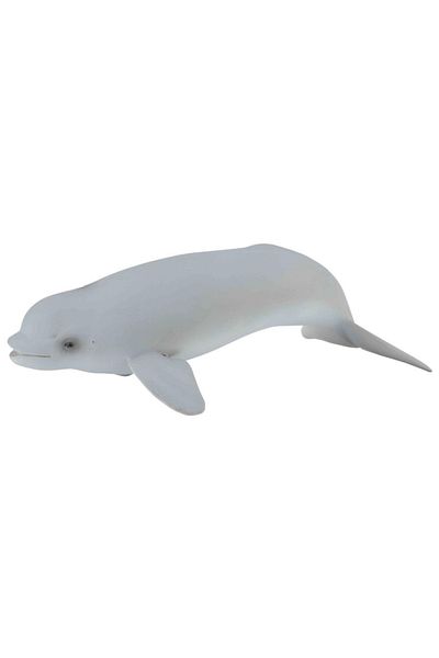 Collecta Κουτάβι Beluga M - Φιγούρα Ζώου