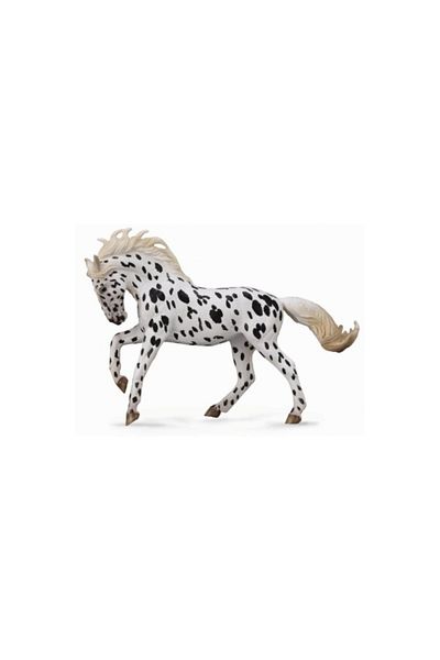 Collecta Stallion Knabstrupper Large Xl - Ειδώλιο Ζώου