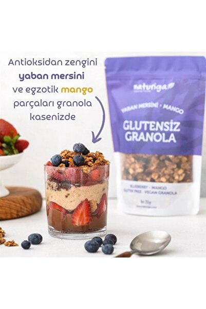 Naturiga Glutensiz Yaban Mersini Mango Granola 250gr