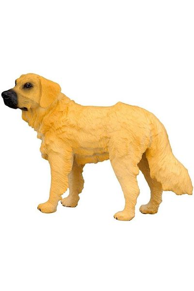 Collecta Φιγούρα Ζώου Golden Retriever M