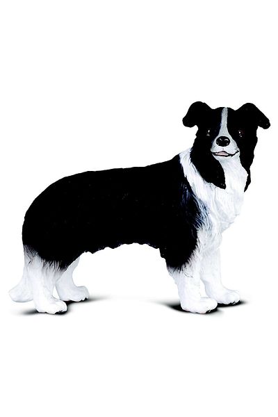 Collecta Φιγούρα Border Collie - Φιγούρα Ζώου