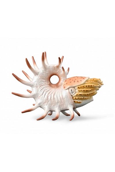 Collecta Χειροποίητο ειδώλιο Cooperoceras