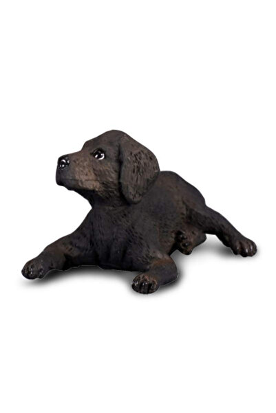 Collecta Labrador Retriever Pui S Animal figurina