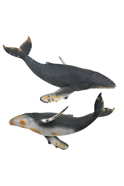 Collecta Balena Cu Cocoasa - Animal Figurina