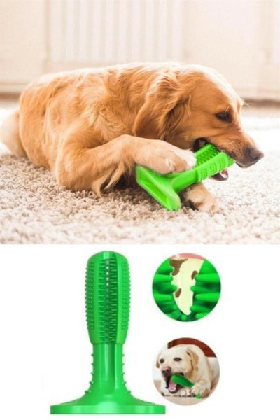 Hane Dostu 12 CM Köpek Diş Temizleme Kaşıma Oyuncağı