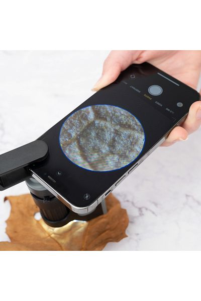 Carson LED pocket microscope, 60-120x magnification, with smartphone adapter, MicroBrite