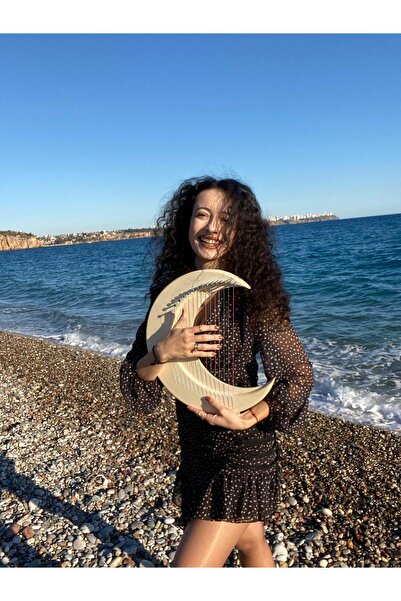 miniarpturkiye 17 Telli Mega Boy Pro Ay Lir Arp