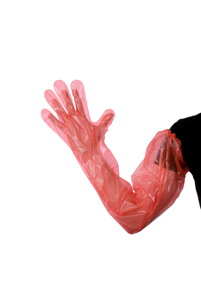 Apex Plus Rektal Eldiven Lastikli Veteriner Suni Tohumlama 100'lü Turuncu