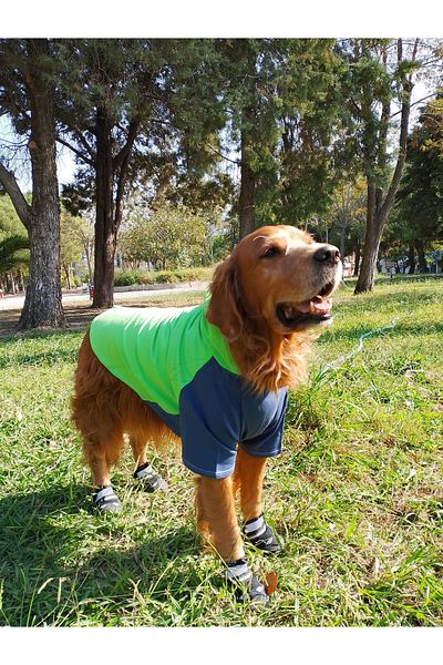 bubblecutepaw Patici Combed Cotton Dog Sweatshirt