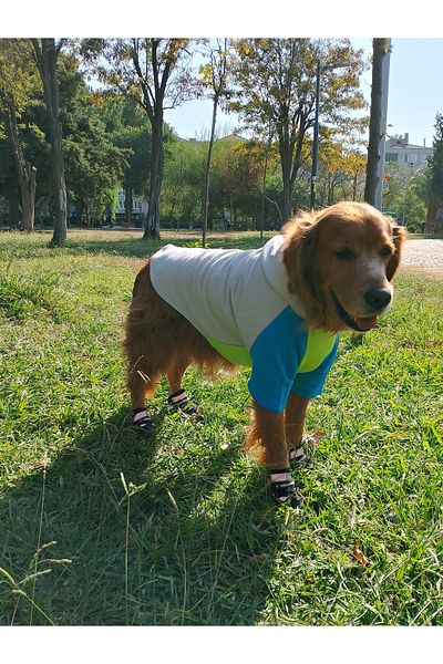 bubblecutepaw Patici Combed Cotton Dog Sweatshirt