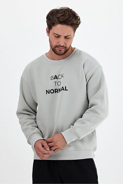 THE RULE Ανδρικό φούτερ Ice Grey Oversize - Crew Neck, Soft Feather, Printed