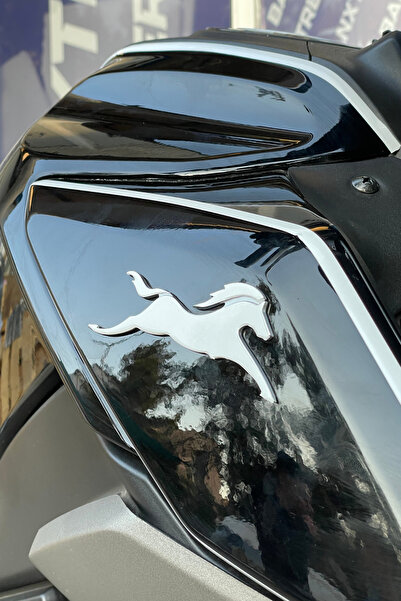 Banxtre TVS Raider için Beyaz TVS At Logosu Birebir Uyumlu Sticker Seti (Sağ ...