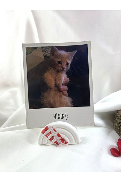 Melouro Red Design Rainbow Note Holder, Photo and Card Holder, Note Holder Wedding Name Holder