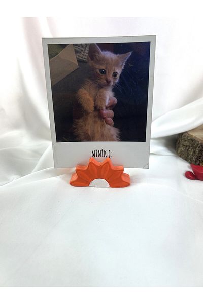 Melouro Orange Daisy Note Holder, Photo and Card Holder, Note Holder Wedding Name Holder