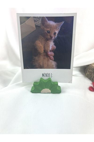 Melouro Green Cream Daisy Note Holder, Photo and Card Holder, Note Holder Wedding Name Holder