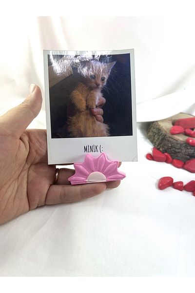 Melouro Pink Daisy Note Holder, Photo and Card Holder, Note Holder Wedding Name Holder