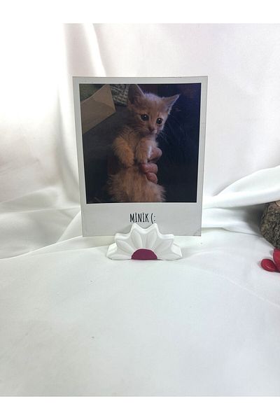 Melouro White Fuchsia Daisy Note Holder, Photo and Card Holder, Note Holder Wedding Name Holder