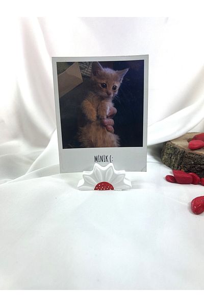 Melouro White Red Daisy Note Holder, Photo and Card Holder, Note Holder Wedding Name Holder