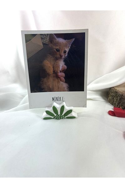 Melouro Green Design Daisy Note Holder, Photo and Card Holder, Note Holder Wedding Name Holder