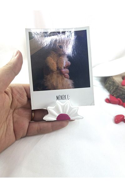 Melouro White Fuchsia Daisy Note Holder, Photo and Card Holder, Note Holder Wedding Name Holder