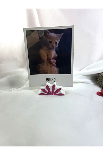 Melouro Fuchsia Design Daisy Note Holder, Photo and Card Holder, Note Holder Wedding Name Holder
