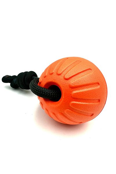Tasma Market Dog Training Ball Toy with Waterproof Handle 9cm